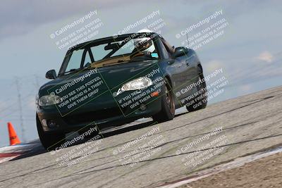 media/Mar-31-2024-Speed Ventures (Sun) [[a3b2bf813d]]/Purple/Session 2 (Grapevine)/